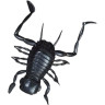 Силиконовая приманка DAIWA Kikker Kikker (3,5см) Black 07430623